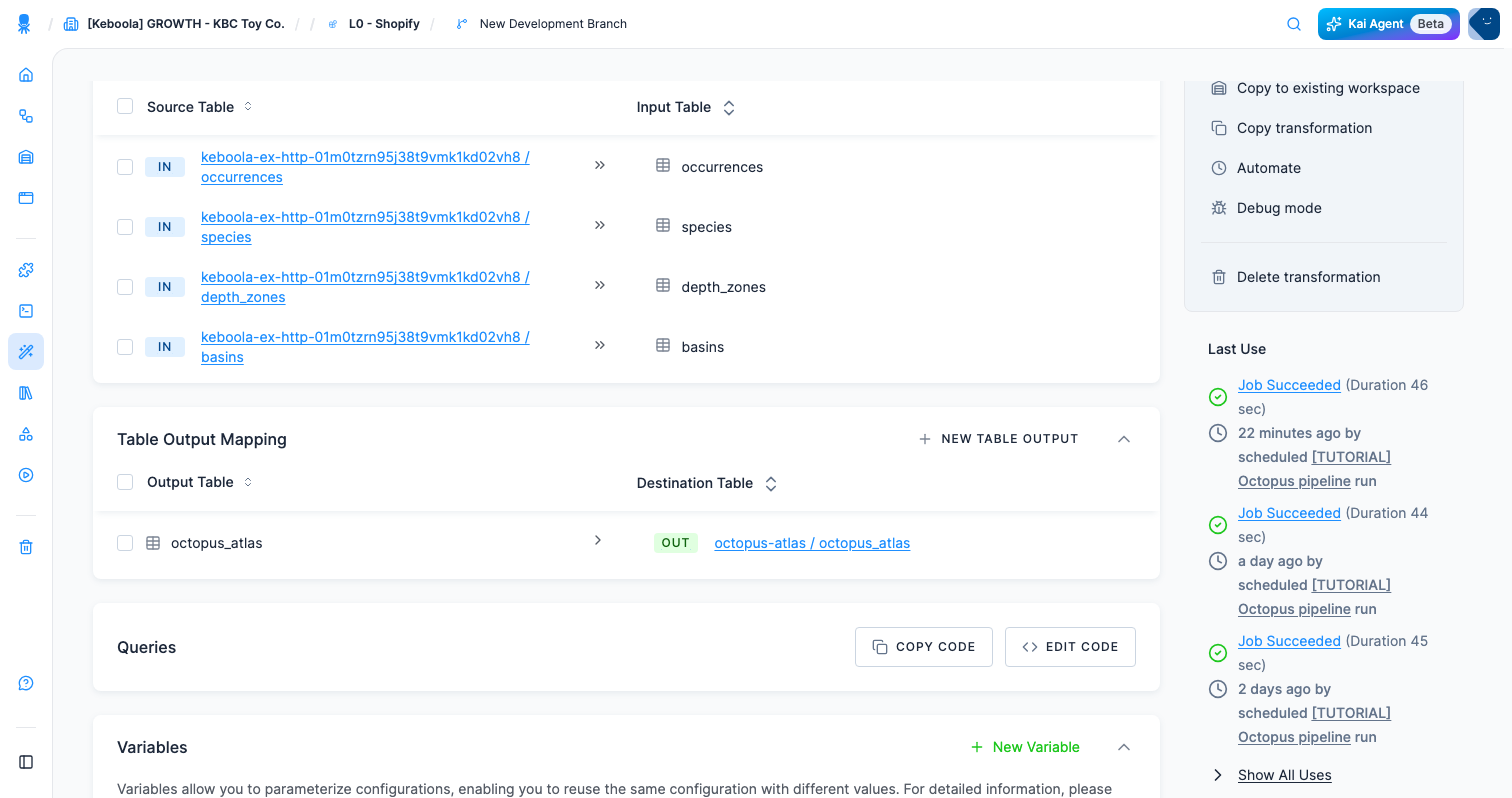 Screenshot - The configured transformation